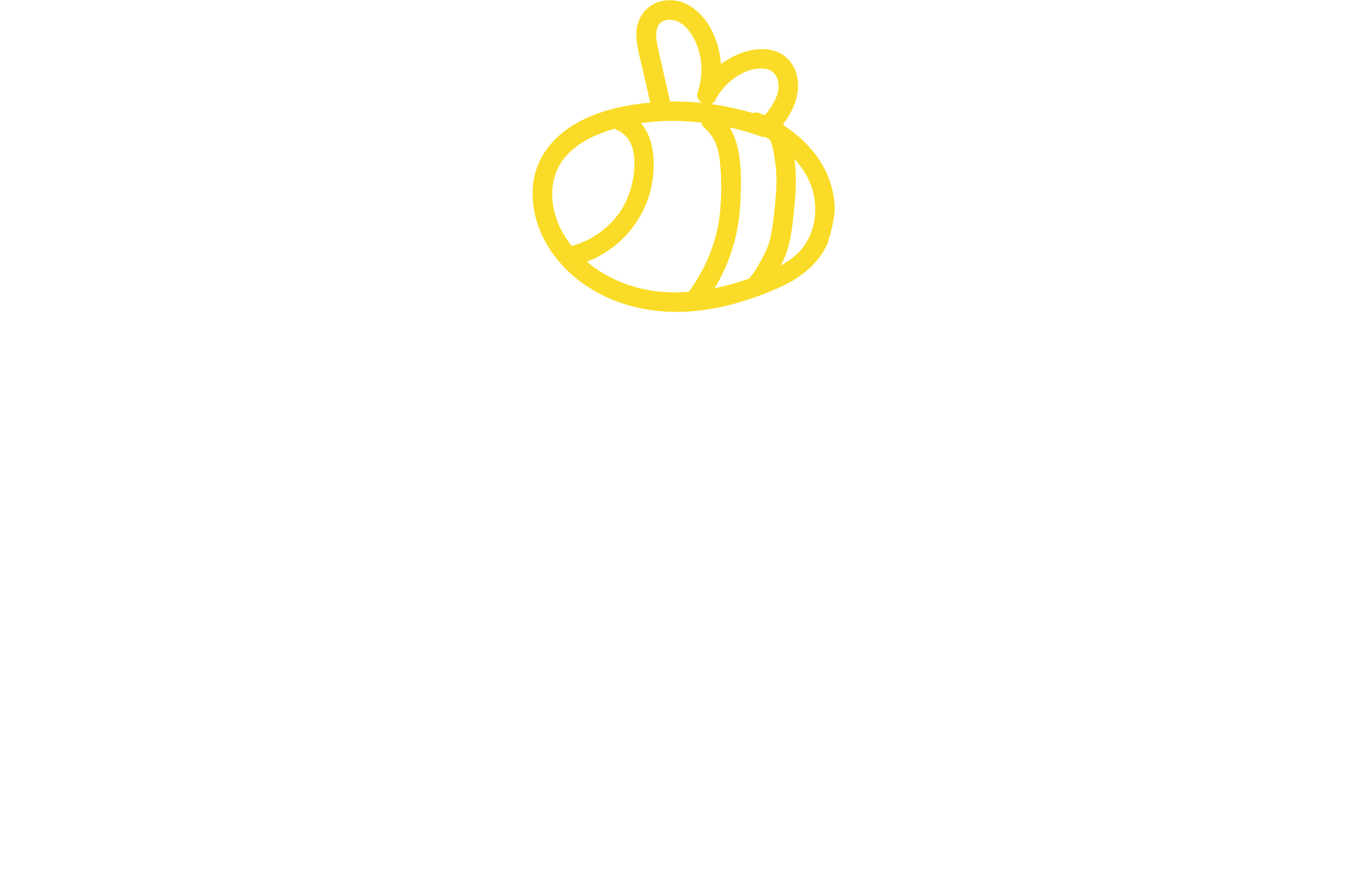 InnoBee
